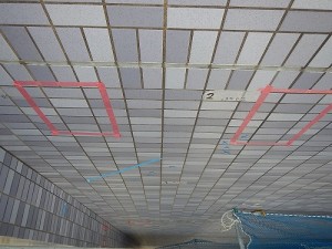 1104cyousa (5)