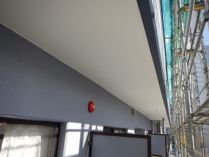 1127uwanuri (2)