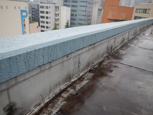 0718sekoumae (31)