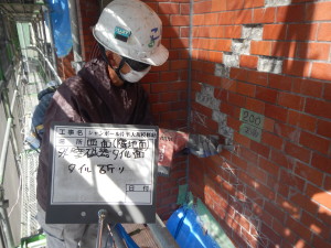 DSCN1355