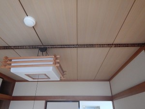 0205cyousa (3)