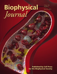 rp_Cover_AKAP.jpg
