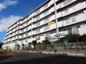 01.17sekoumae (51)