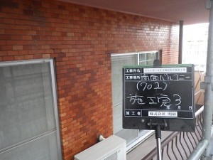 RIMG7542