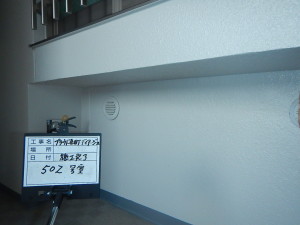 DSCN1312