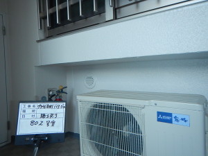 DSCN1331