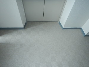 DSCN1353