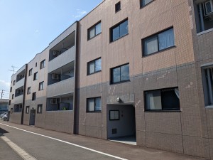 PXL_20230501_052413817