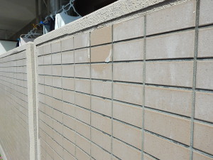 0420sekoumae (13)