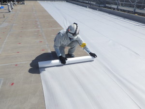 RIMG3705 - コピー