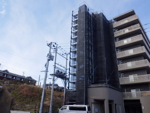 RIMG2010