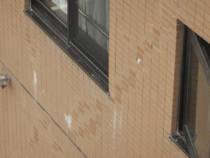 0829sekoumae (30)