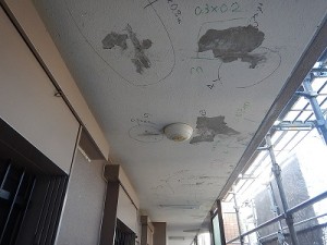 1114koutei (50)