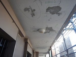 1114koutei (50)