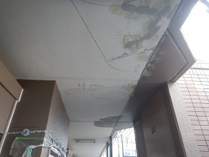 1114koutei (53)