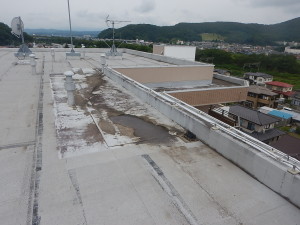 0712sekoumae (2)