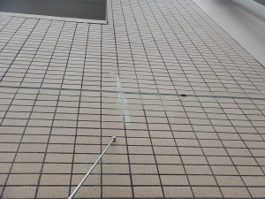 0712sekoumae (97)