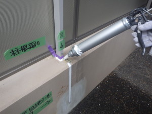 RIMG8784