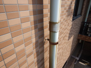 09.02sekoumae (155)